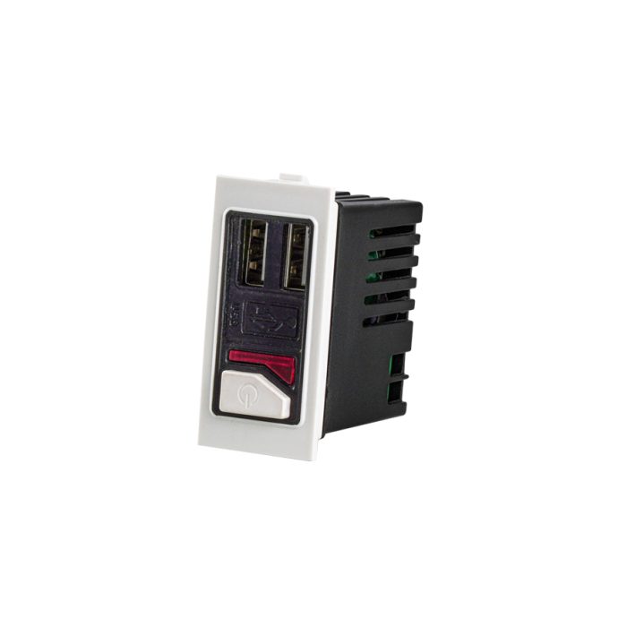 USB CHARGER 2 MODULE